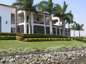 Horticultural services